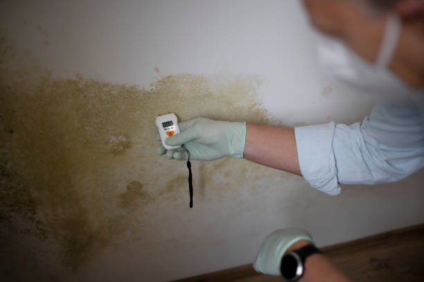 Best Mold Testing and Inspection Services in Pablo, MT